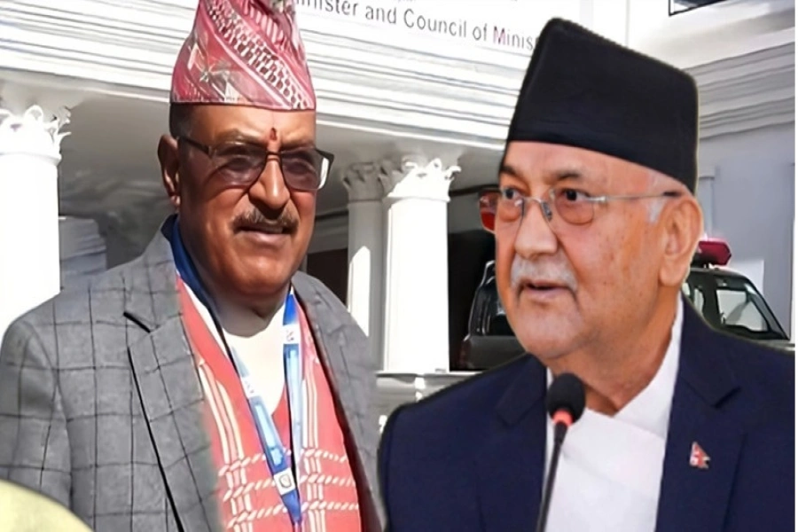 Oli probe commission-1767264998.webp